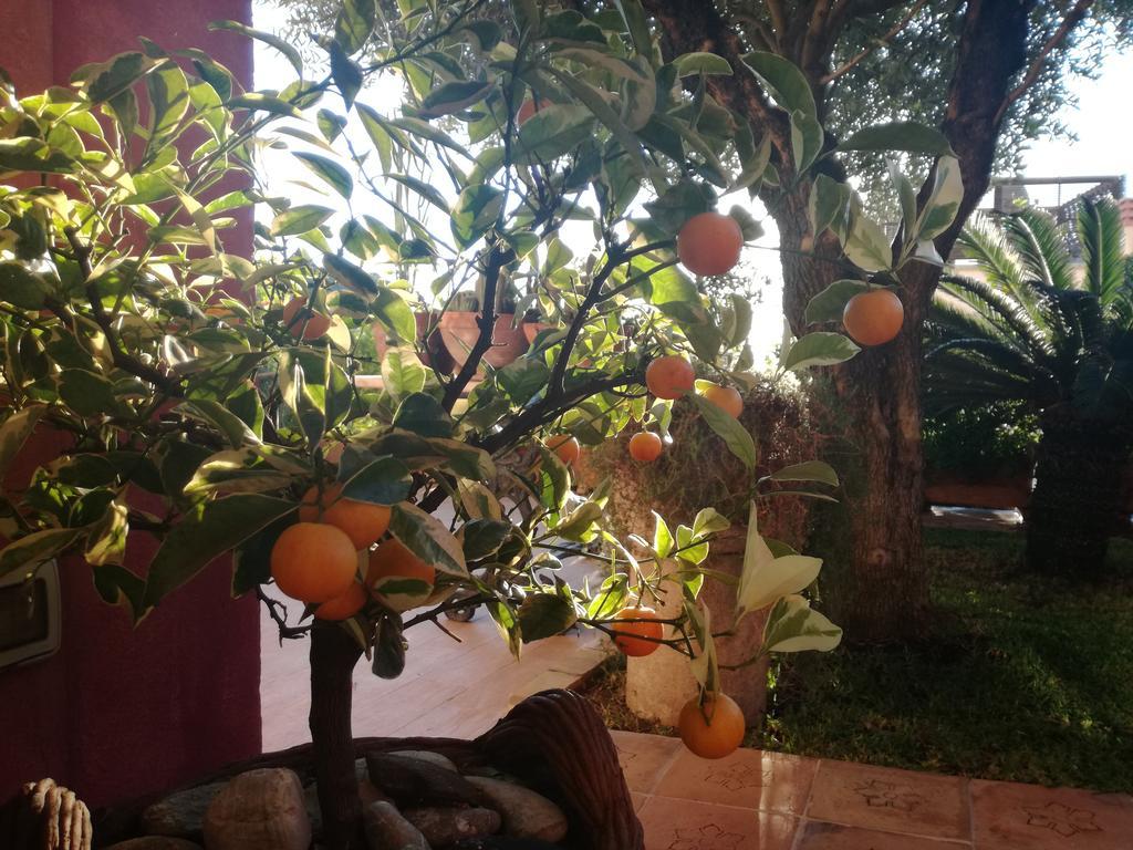 Bed & Breakfast Rocca Castello